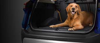 traveling with a dog in the car safety