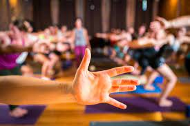 yoga on yamhill read reviews and book