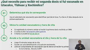 Personas que se registraron en. Calendario De Vacunacion Segunda Dosis En Iztacalco Tlahuac Y Xochimilco Capital 21 Noticias