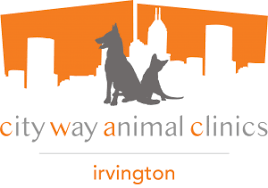 city way clinic irvington vet