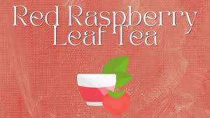 magic of red raspberry leaf tea