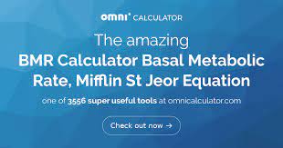 Bmr Calculator Basal Metabolic Rate