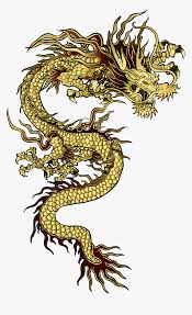 Transparent Asian Dragon Png Japanese Dragon Tattoo Design