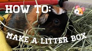 how to make a guinea pig litter box