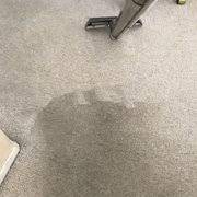 day s carpet cleaning updated april