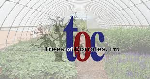 Corrales Plant Nursery Supplier Abq