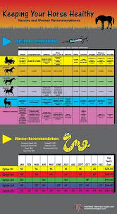 An Easy To Follow Guide To Vaccinating And Worming Your