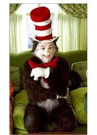the cat in the hat salon com
