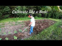 Видео stihl cultivator