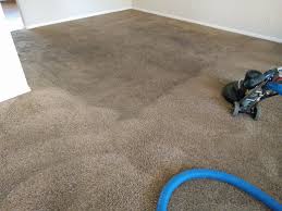 discover the magic of clean carpets