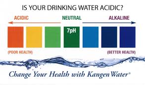 Durham Alkaline Water Station By Xpert Nutrition