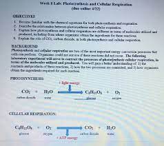 Photosynthesis And Cellular Respiration