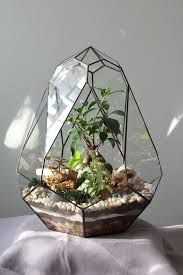 Glass Terrarium Amethyst Living Room