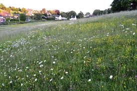 Access to the meadow garden is included in gardens admission! How To Create A Wildflower Meadow Natural England