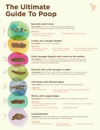 What The Bristol Stool Scale Tells You About Your Poop Stool