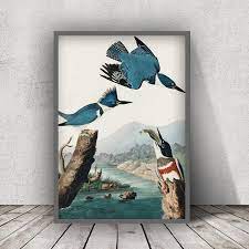 Amazon｜青い鳥のポスタープリントヴィンテージ鳥のイラスト壁アートキャンバスリビングルームの家の装飾のための大きな鳥の動物の写真50x70cm（20x28in）フレームレス｜ウォールステッカー  オンライン通販