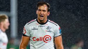 urc glasgow sign sharks flanker venter