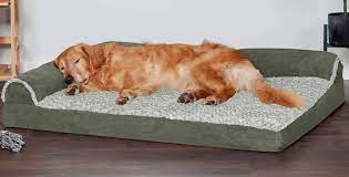 Best Dog Beds Of 2023 Sleep Foundation
