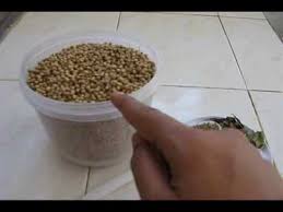 Coriander powder is manufactured by grinding best quality coriander seeds. How To Make Coriander Powder At Home Special Youtube