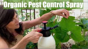 organic pest control spray for your