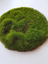 Artificial Moss Moss Pad Terrarium