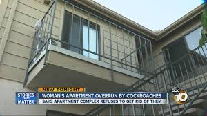apartment overrun by roaches