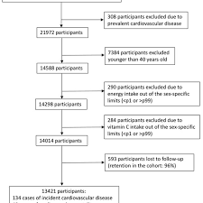 Flow Chart Of Participants For The Assessment Of The