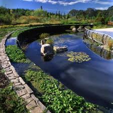 Amazing Water Garden The Oregon Garden