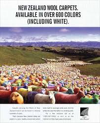 using new zealand wool carpets meat