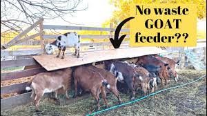 hay waste diy goat feeder