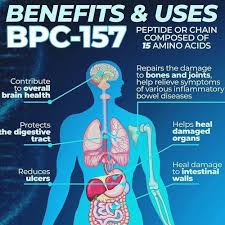 bpc-157 Peptide Therapy What Is BPC-157? A Medical