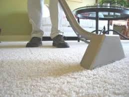 borax to clean carpet lovetoknow