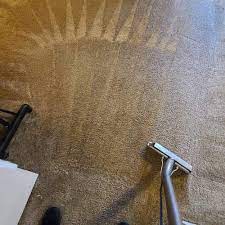 1 for carpet cleaning in hillsboro or