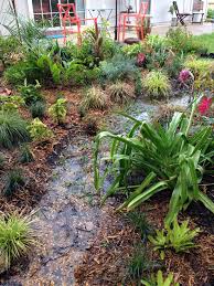 Rain Garden Ditch To Dry Creek