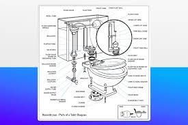 Guide To Parts Of A Toilet With Diagrams