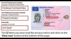 check driving licence using a code