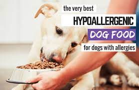 7 best hypoallergenic dog foods what