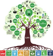 lifestyle for environment life a