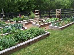 Garden Layout Vegetable Garden Layout