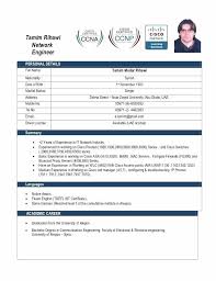 Network Specialist Resume Foodcity Me