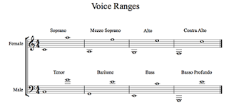 Vocal Range Chart And Corresponding Voice Types In 2019