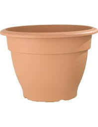 B Q Terracotta Pots Up To 55 Off