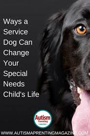 ways a service dog can change your