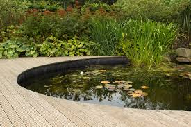 Jvi also has a water feature construction and maintenance division to fulfill all your pond and water feature needs. The Abc S Of Water Gardens A Maryland Expert Weighs In Here By Design