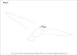 how to draw a flying bird birds step