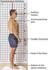 Assessment Musculoskeletal Key