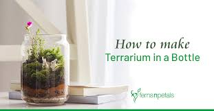 How To Make Terrarium In A Bottle