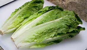 myths and facts on lettuce