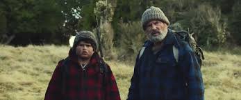 Image result for Hunt for the Wilderpeople