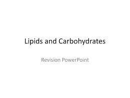 lipids and carbohydrates powerpoint